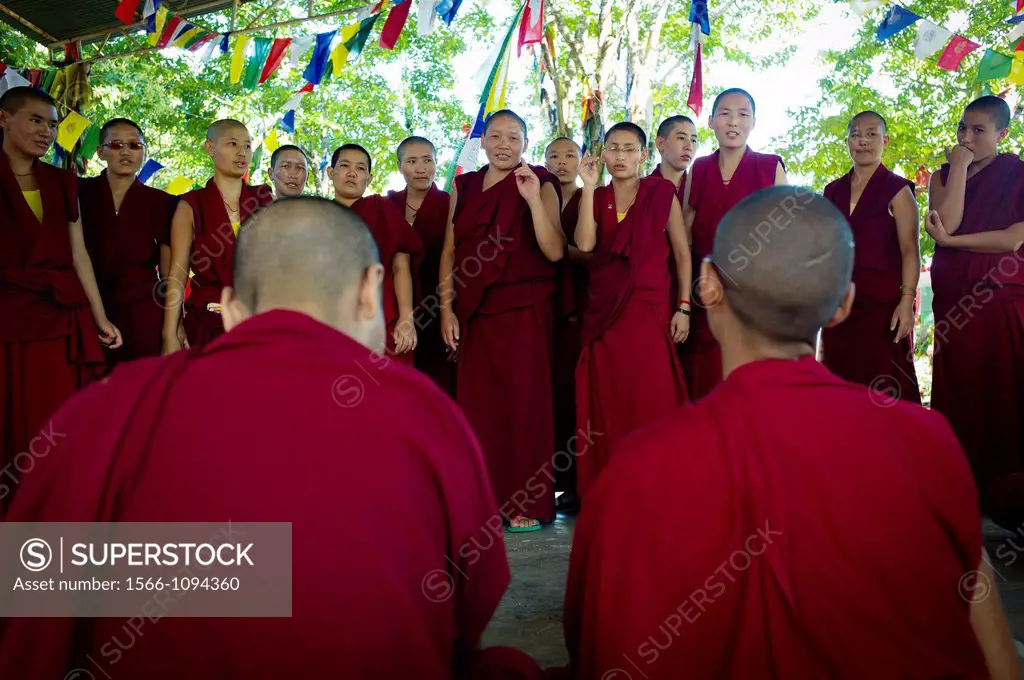 Debate religioso, monjas,  monasterio budista tibetano, mungod, karnataka, India  campamento de refugiados tibetanos, comunidad religiosa, cultura, es...