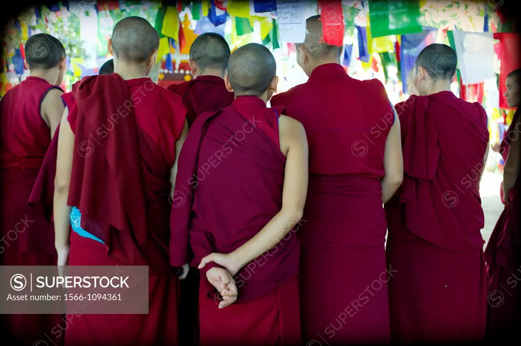 Debate religioso, monjas,  monasterio budista tibetano, mungod, karnataka, India, Asia, campamento de refugiados tibetanos, comunidad religiosa, cultu...