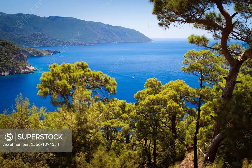 Forest and coastal landscape  Kabak Valley  Lycian Way  Mugla province, Aegean coast, Turkey