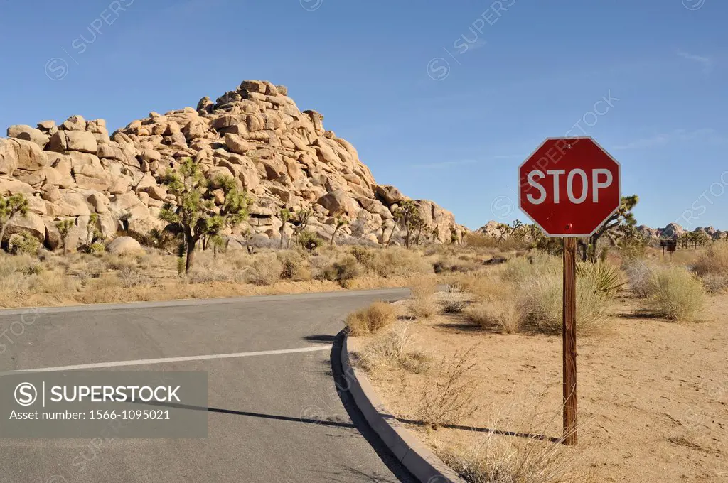 stop sign in Joshua Tree National Park, Mojave Desert, California, USA