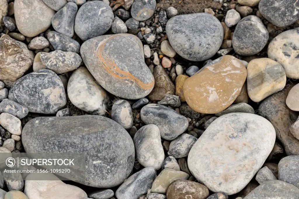 Polished streambed pebbles on the shore of the North Saskatchewan River Jasper NP, Alberta