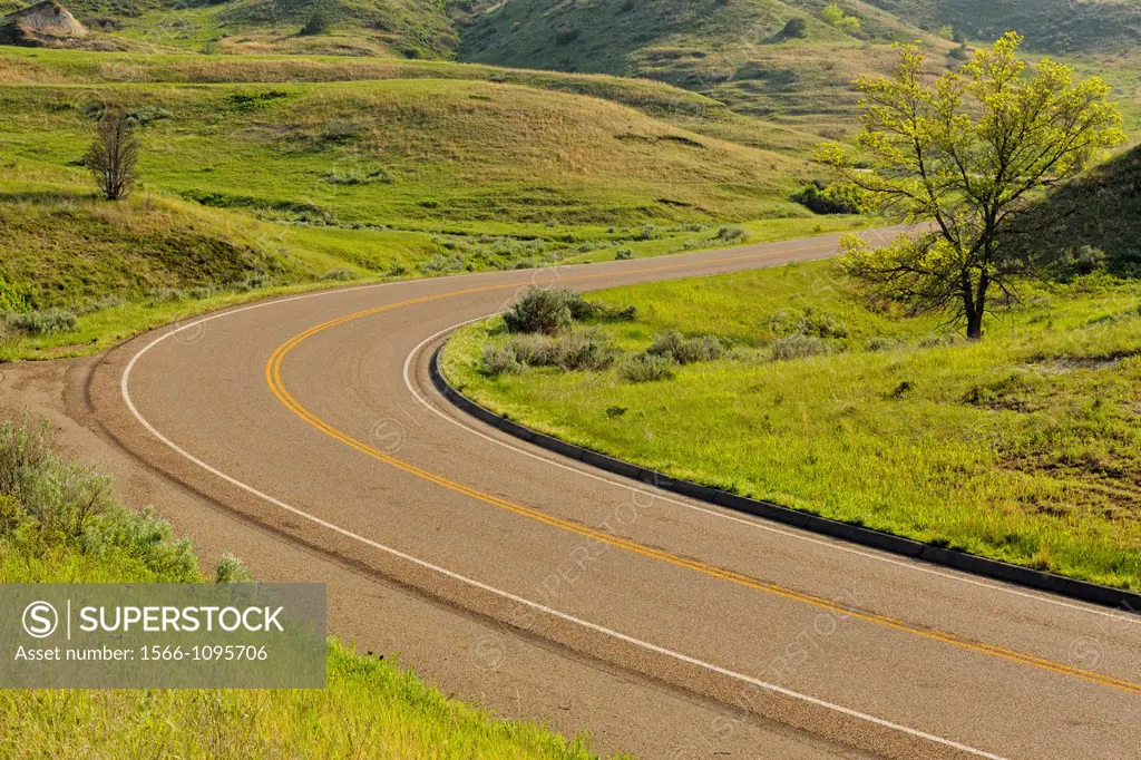 Scenic loop drive road, Theodore Roosevelt NP South Unit, North Dakota, USA