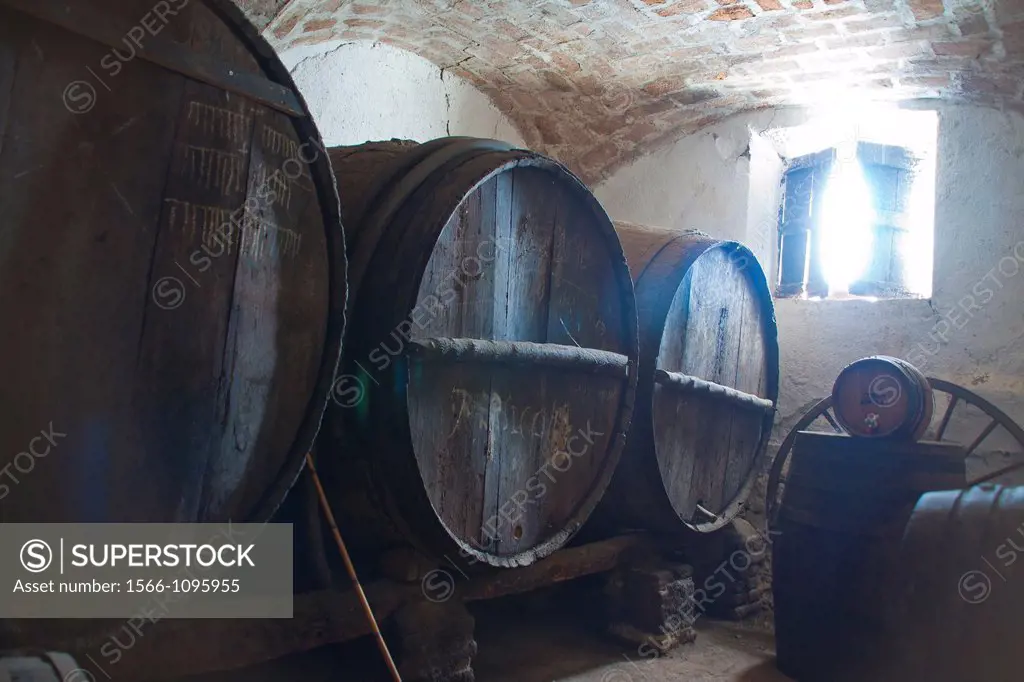 Old wine in old barrels, private wine cellar. Porrera, Priorat, Tarragona, Catalonia, Spain, Europe.