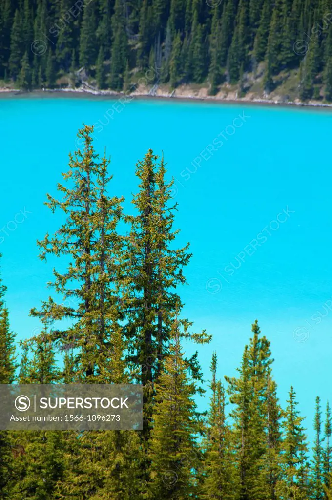 Peyto Lake, Banff National Park, Alberta, Canada