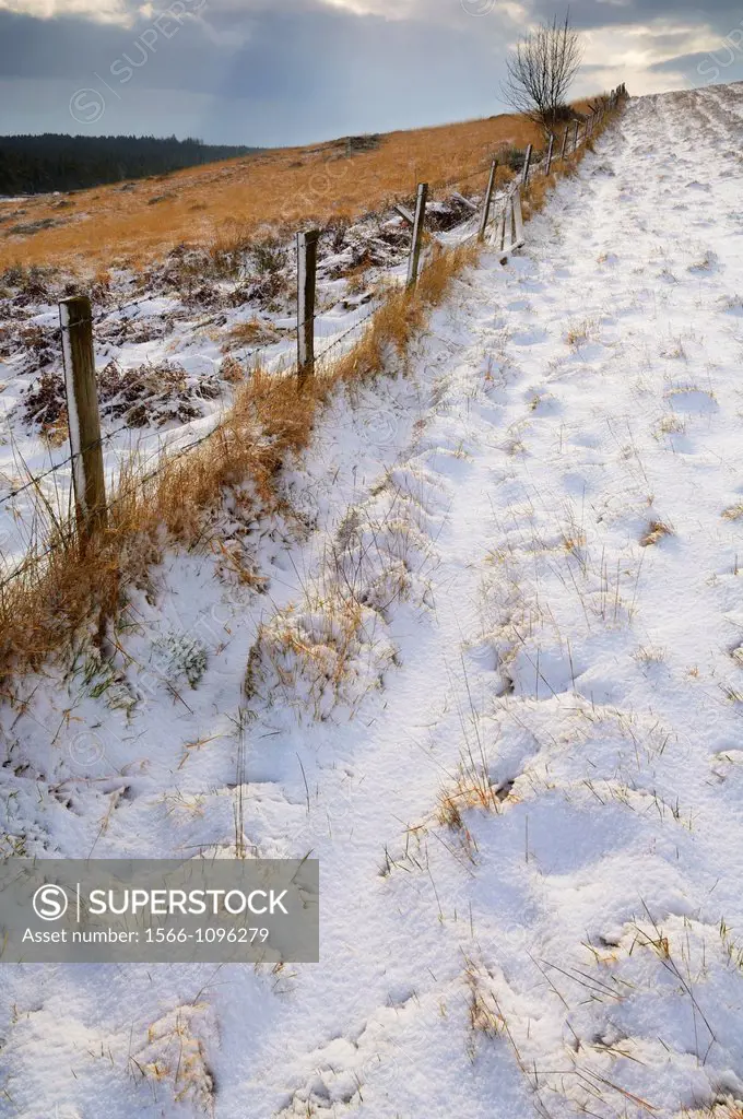 Snow at North Hill on the Mendip Hills near Priddy, Somerset, England, United Kingdom