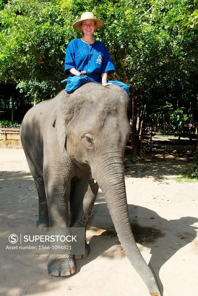 Young woman with elephant at the Mahout and Elephant Training School near Lampang, north Thailand