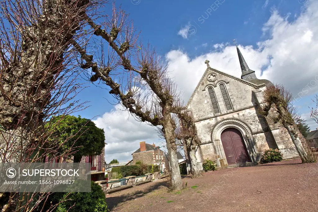 st malon on mel, steeple of the village and unusual composition of trees. broceliande, Ille et Vilaine, Brittany, France