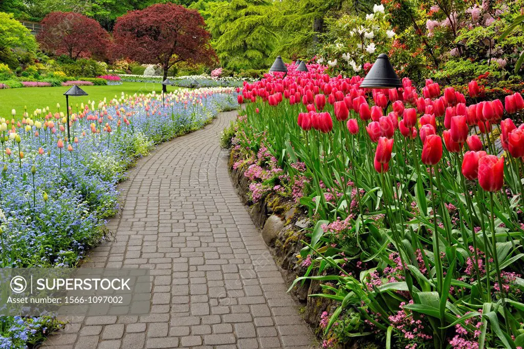 Butchart Gardens- Floral displays in the Sunken Garden, Victoria, BC, Canada