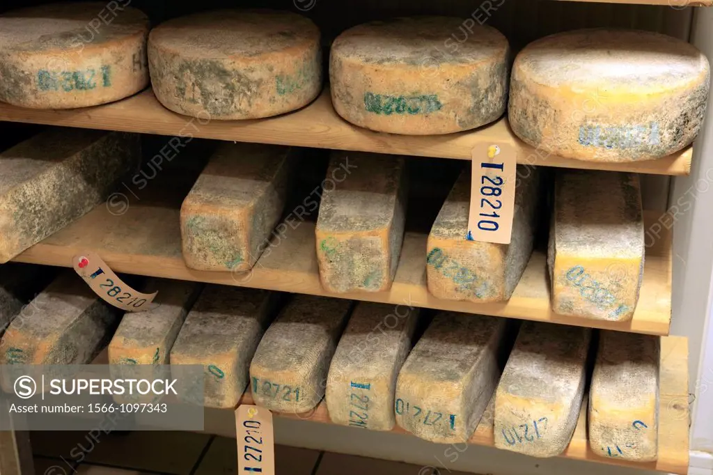 Cheese, Valdobbiadene, Treviso, Veneto, Italy