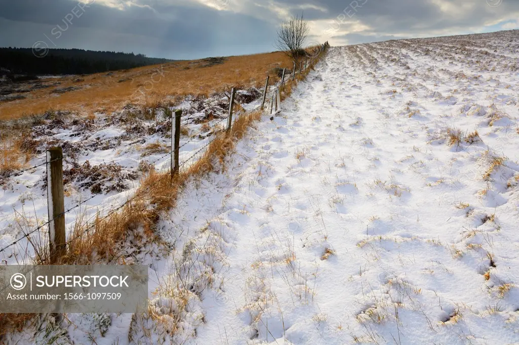 Snow at North Hill on the Mendip Hills near Priddy, Somerset, England, United Kingdom