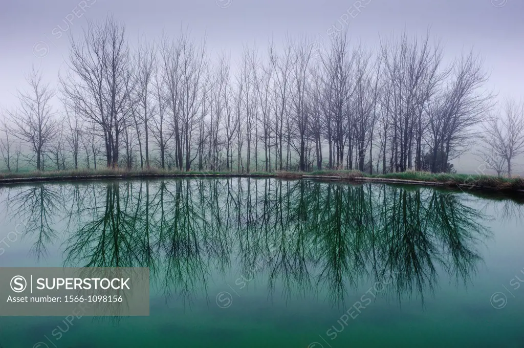 Trees mirroring in water pool, Paraje de Sugel, Almansa, Albacete province, Castilla-La Mancha, Spain