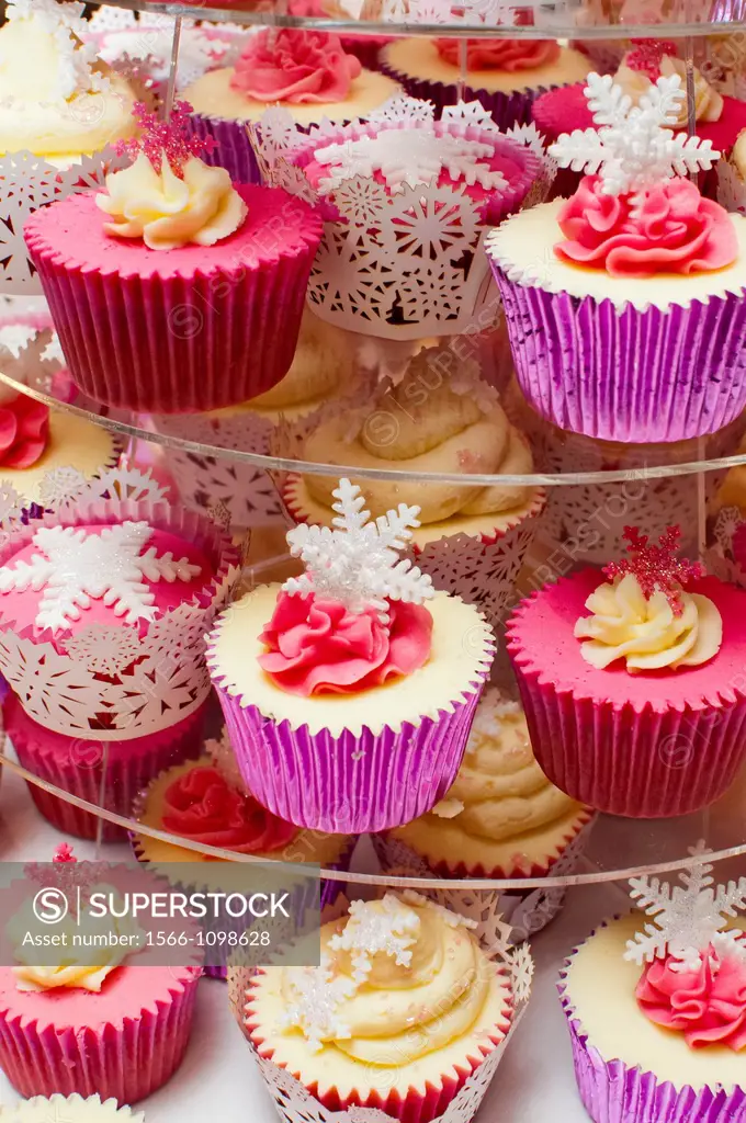 beautiful cupcakes on display stand
