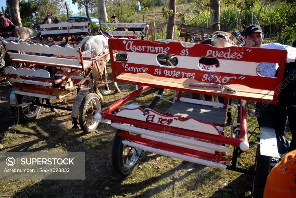Horse, wagon, harness, horses, wagons, carts, tack, trappings, Cuba