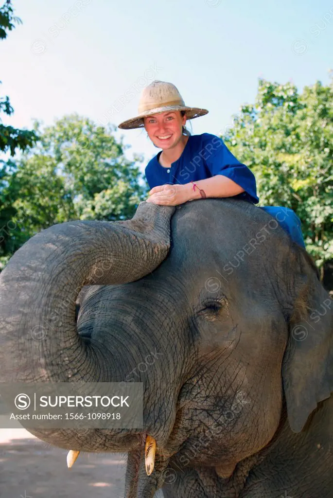 Instructor Mahout and Elephant Training School near Lampang, north Thailand