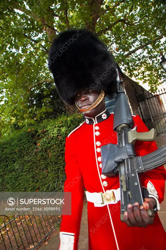 Coldstream guard, Buckingham Palace, Westminster, London,England,United Kingdom.