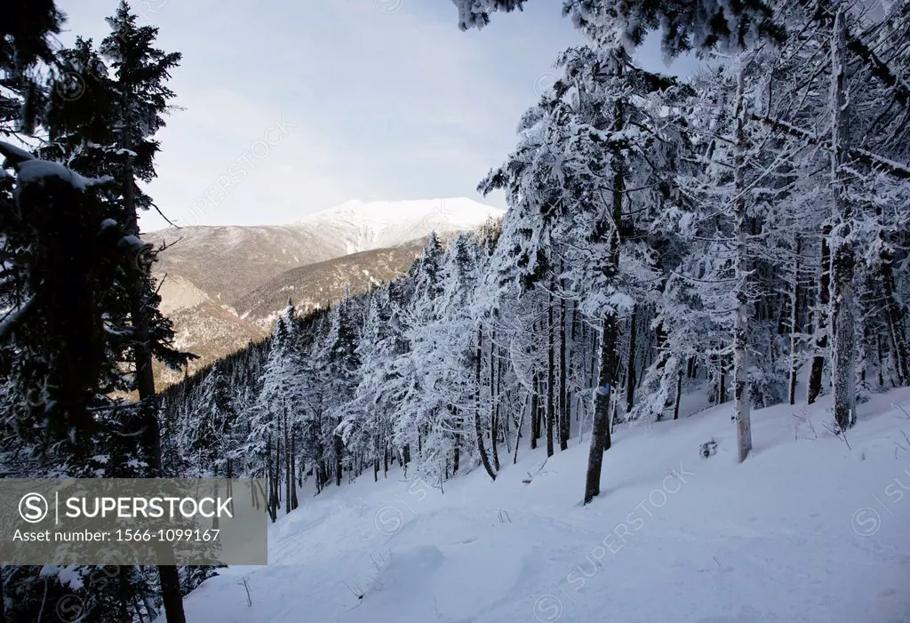 Franconia Notch State Park - Scenic views along Kinsman Ridge Trail in the White Mountains, New Hampshire USA  This trail leads to the summit of Canno...