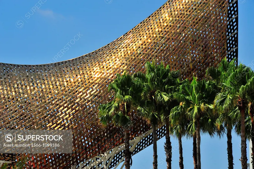 Escultura Fish Frank Owen Gehry y palmeras de abanico mejicana Washingtonia robusta, Marina village, Barcelona, Catalunya, España.