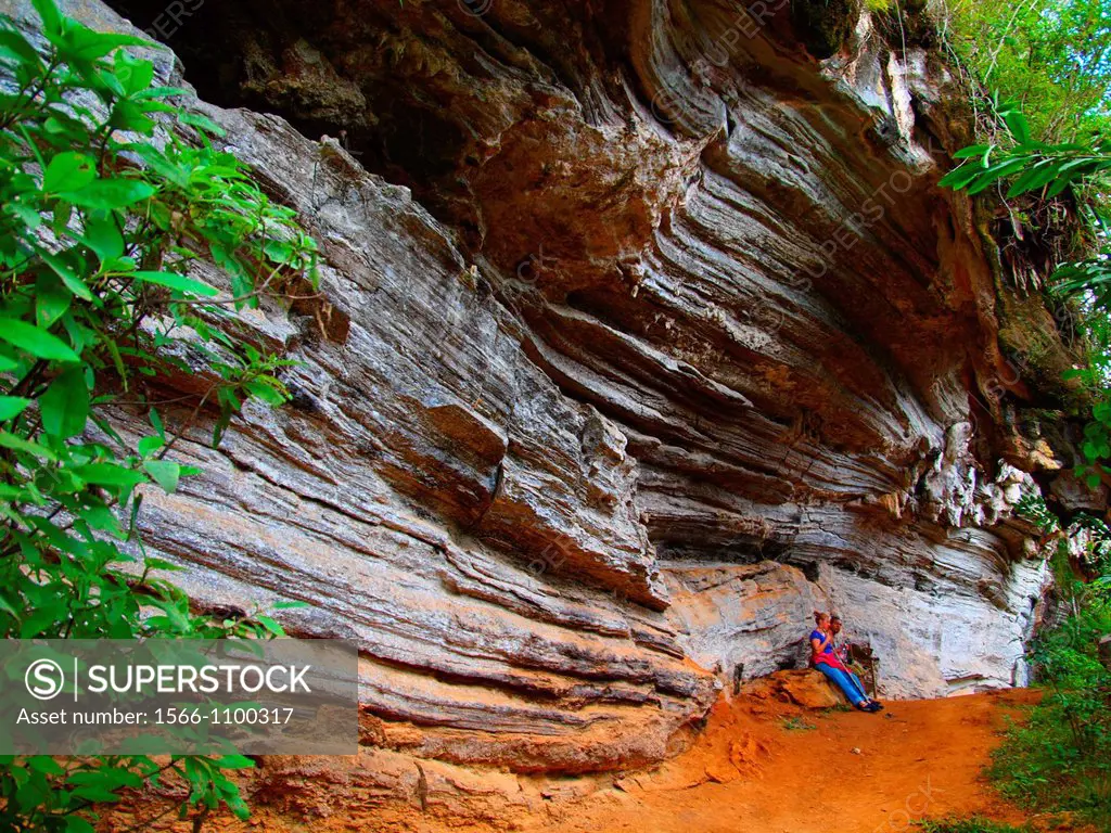 Rock formations at Topes de Collantes National Park  Sierra Escambray  Cuba