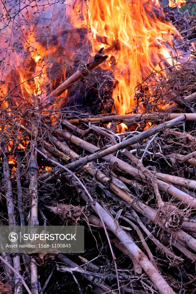 cane burning, waste, Bages, Catalonia, Spain.