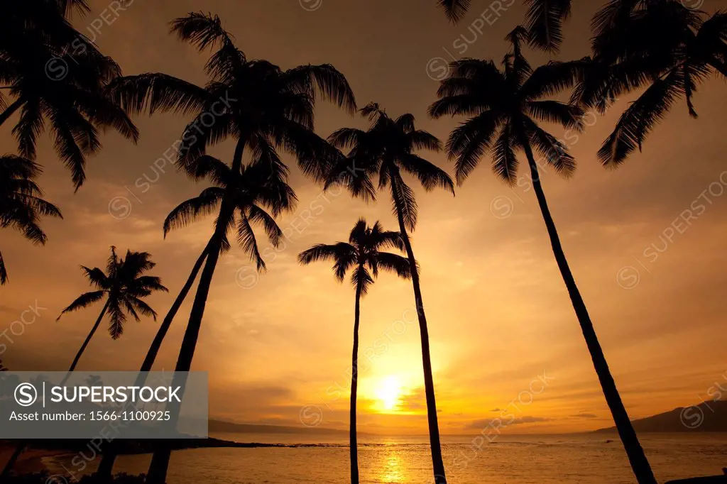 Sunset, Kapalua Beach, Maui, Hawaii