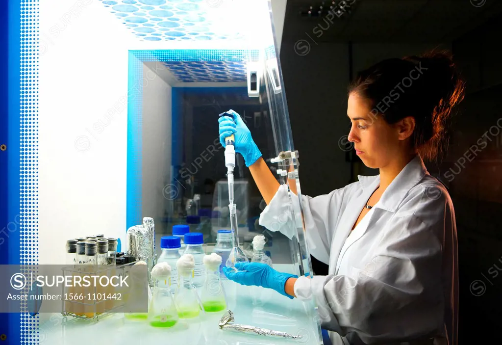 Ecotoxicity and biocide test laboratory, Technology Research Center, Tecnalia Construction, CIDEMCO-Tecnalia Research & Innovation, development of new...
