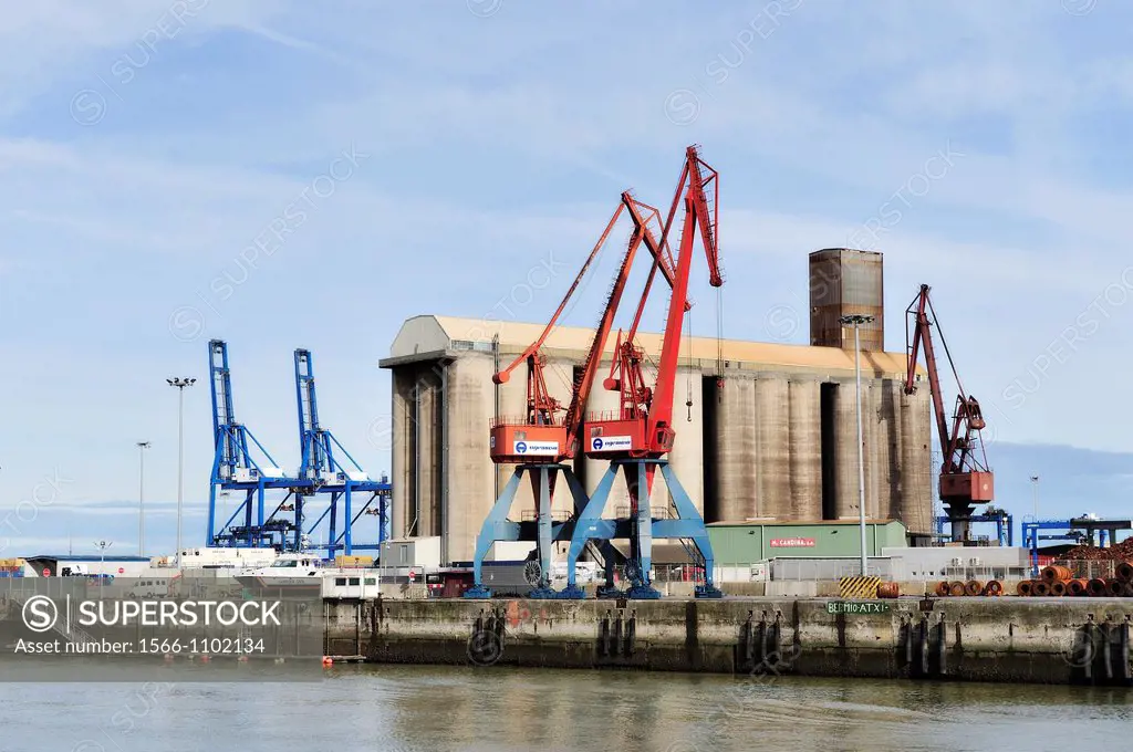 Duck-billed cranes at the Port of Bilbao