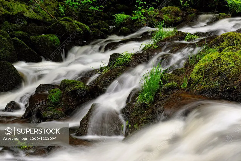 Waterfalls and rapids on Bilston Creek in Witty´s Lagoon Nature Preserve, Metchosin, BC, Canada