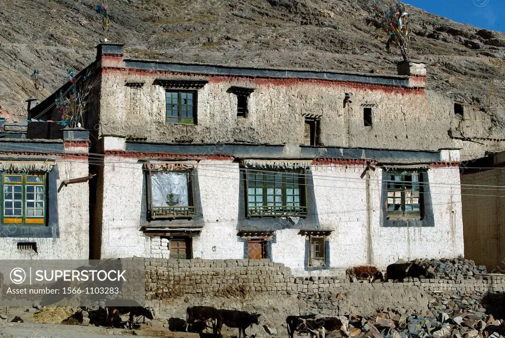 Traditional Tibetan building with white walls black window surrounds and prayer flags Gyantse Tibet