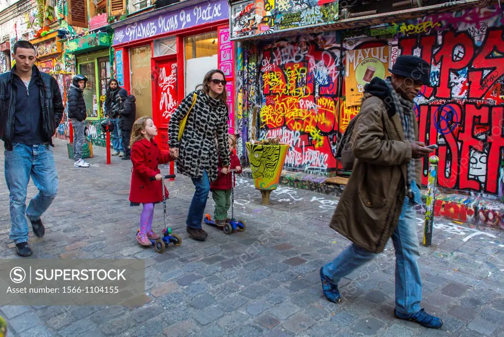 Paris, France, People Shopping in Belleville Chinatown District, Rue Denoyez
