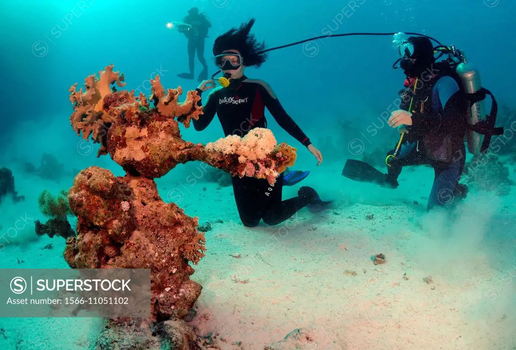 diver and coral reef.