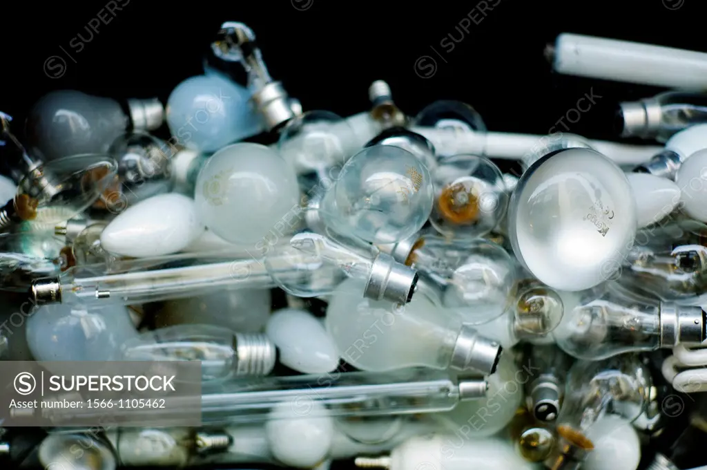 many bulbs