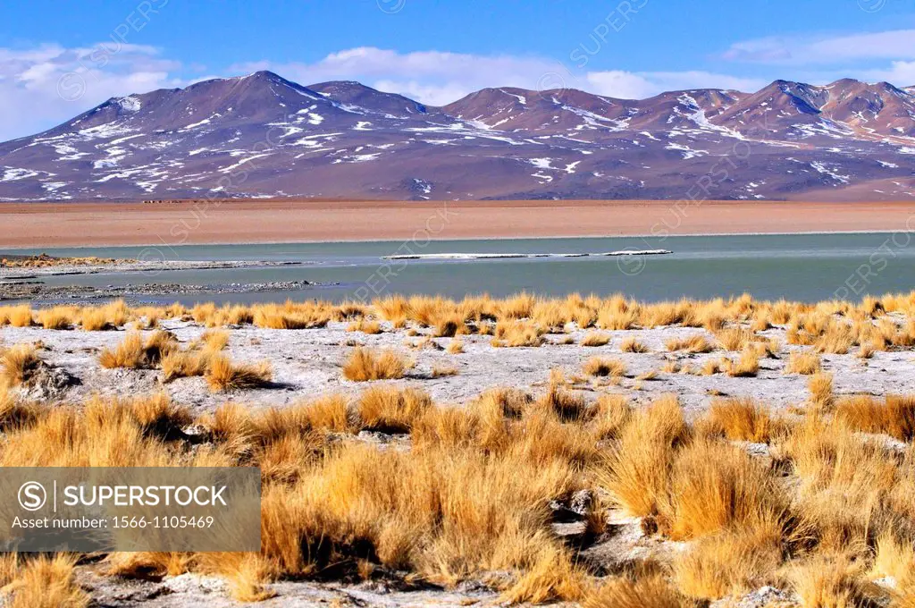 Laguna Verde (Green Lagoon) is a salt lake in the southwest of the altiplano of Bolivia, in the Potosí Department, Sur Lípez Province, on the Chilean ...
