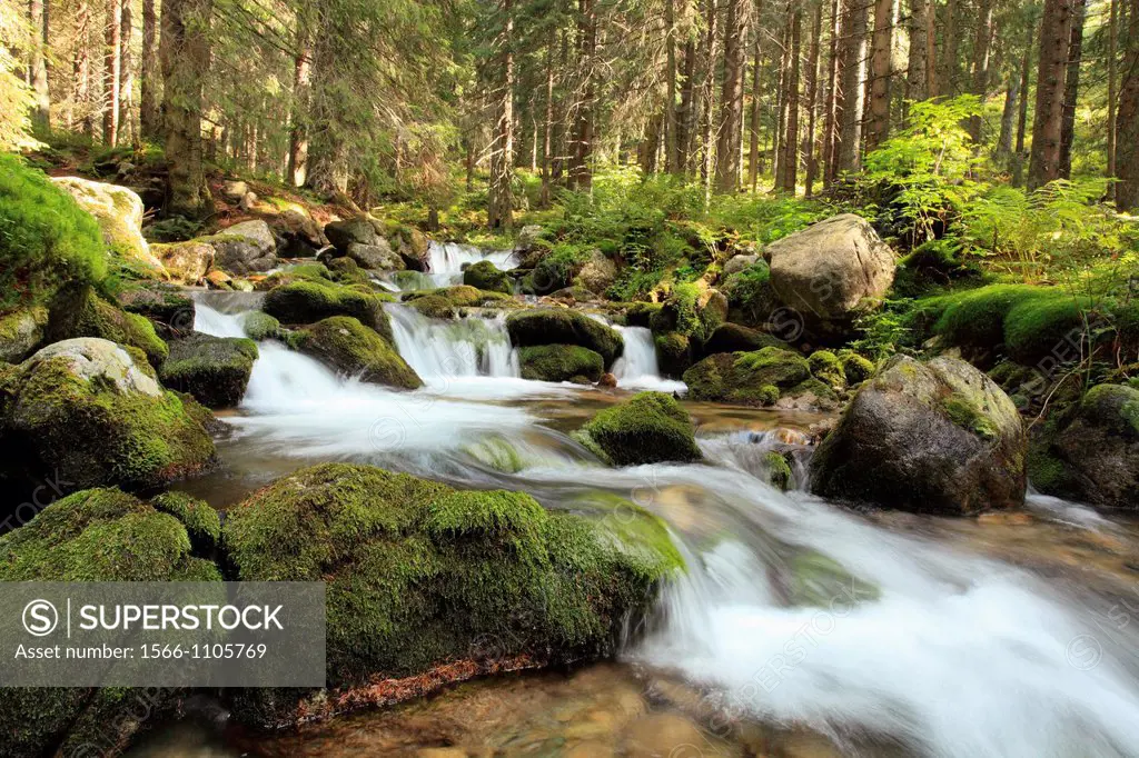 The mountain stream ´Poliansky potok´ in Bobrovecka dolina, Rohace, western part of High Tatras National Park, Slovakia