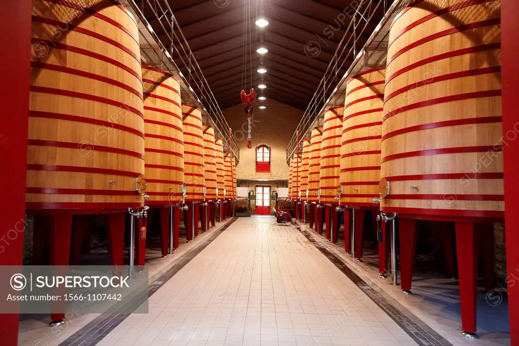 Barrels of wine making, Marques de Riscal winery, Elciego, Rioja Alavesa, Alava, Basque Country, Spain