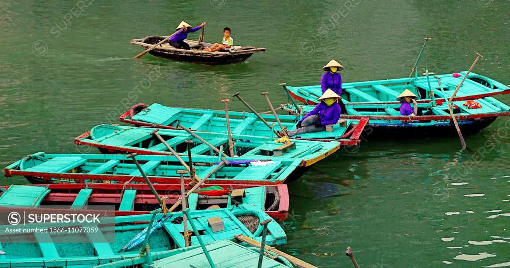 Vietnam. Ha Long Bay.