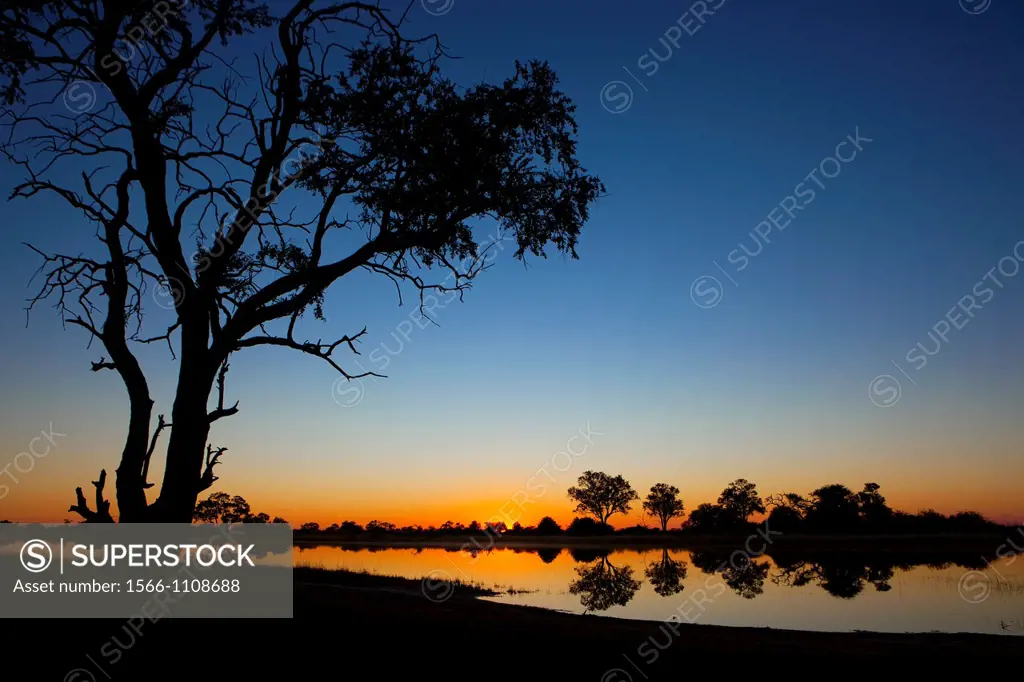 Sunrise in the Okavango Delta in Moremi national Park, Botswana