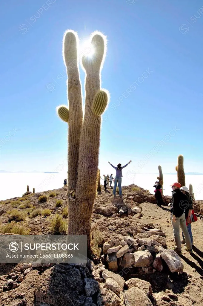 Inkahuasi or Inkawasi, island in the middle of Salar de Uyuni, the world´s largest salt flat at 10,582 square kilometers. It is located in the Potosí ...