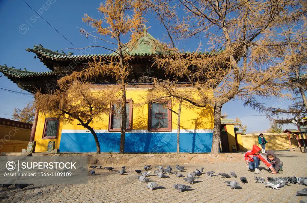 pigeons at Gandan Monastery in Ulan Baatar, Mongolia