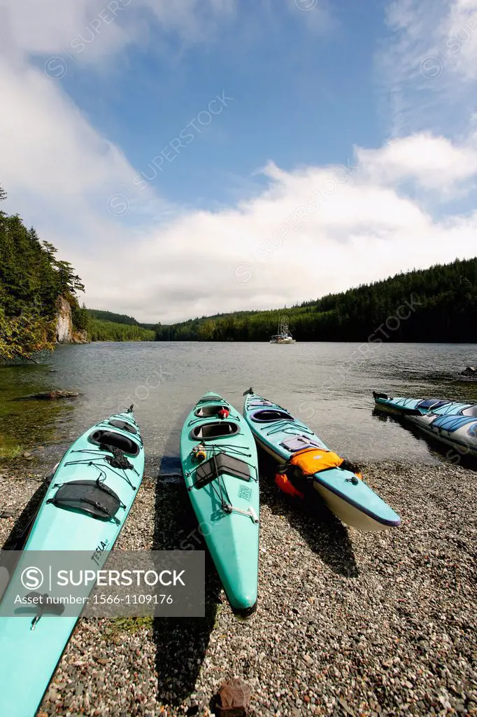 Kayaks in Johnstone strait  Vancouver island  British Columbia  Canada