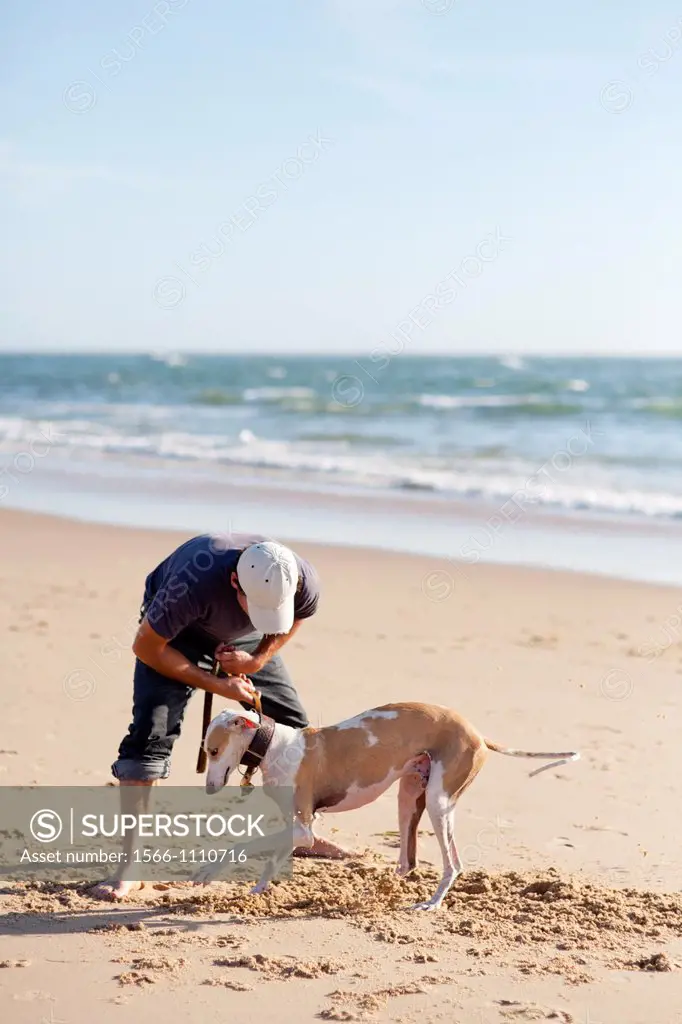 Man playing with his dog on the beach  Cap-Ferret  Gironde  France
