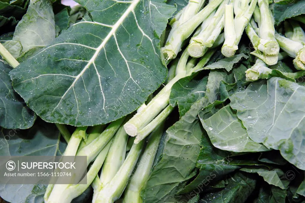 Collard greens outside of Brooklyn Borough Hall in NYC  Food baskets donated by an assortment of companies are being given away to community groups th...