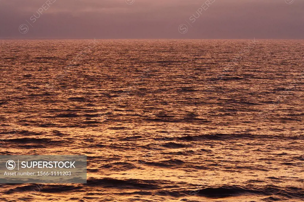 Golden light reflected on the sea at sunset on the North Devon coast at Westward Ho!, Devon, England, United Kingdom