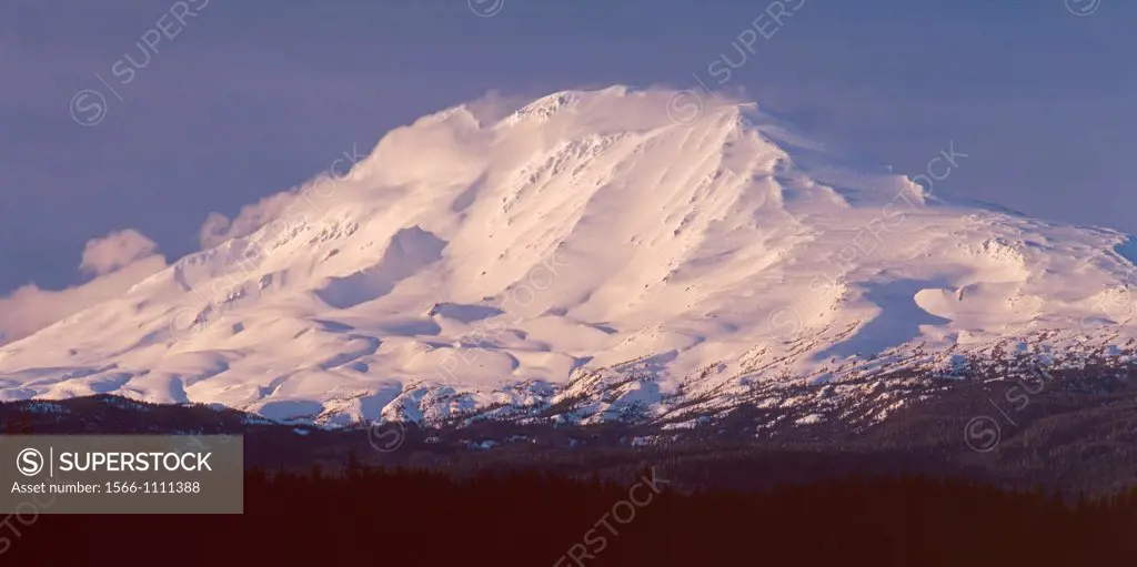 Evening light on south side of Mt  Adams in winter, Gifford Pinchot National Forest, Cascade Mountains, Washington, USA