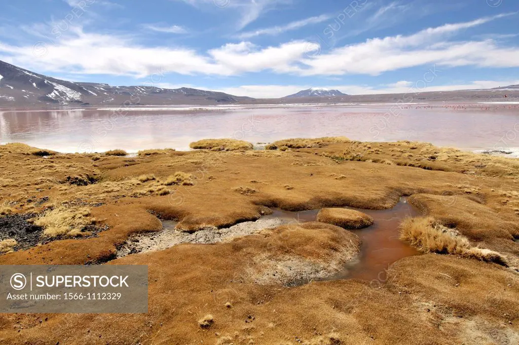 Laguna Colorada (Red Lagoon) is a shallow salt lake in the southwest of the altiplano of Bolivia, within Eduardo Avaroa Andean Fauna National Reserve ...