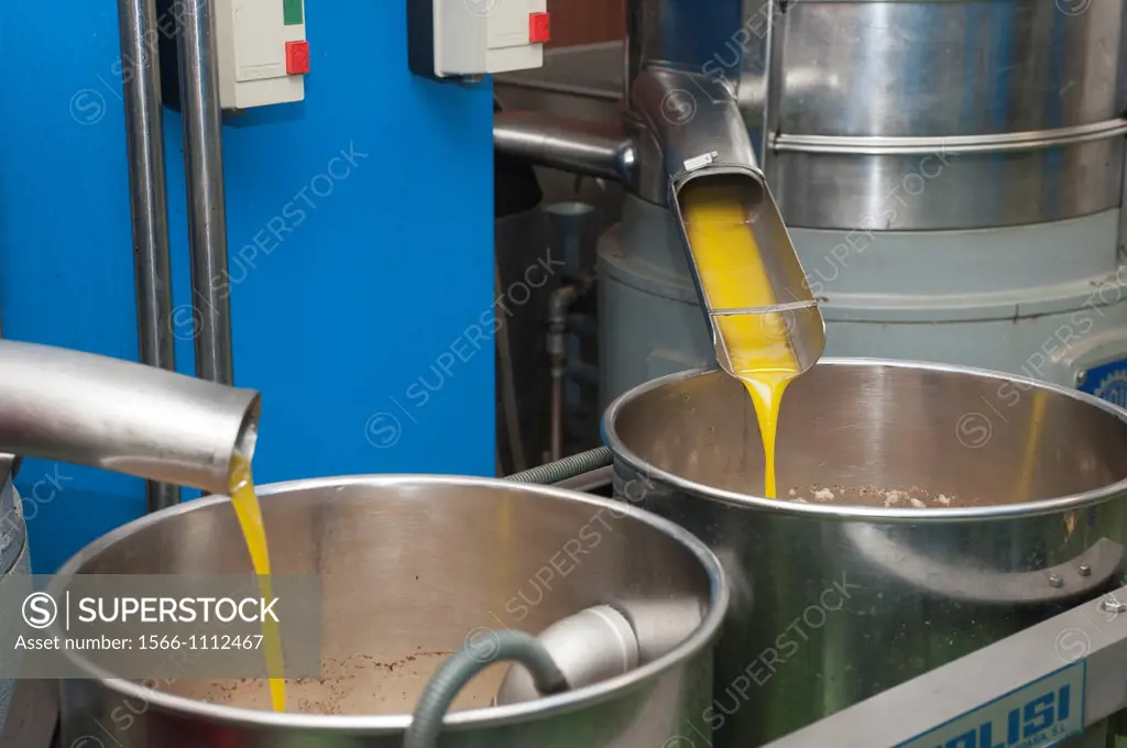 Primary oil from olive fruits as it comes out of the cold press procedure at a traditional olive mill, Catalonia, spain