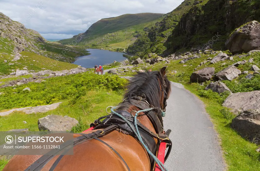 Horse and Jaunting Car, Gap of Dunloe, County Kerry, Ireland