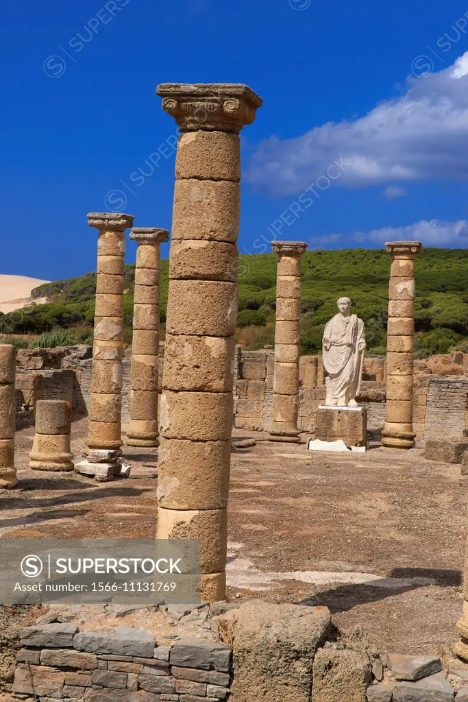 Bolonia, Baelo Claudia, Archaeological site , Old roman city , Strait of Gibraltar Natural Park, Costa de la Luz, Cadiz, Andalusia, Spain, Europe.