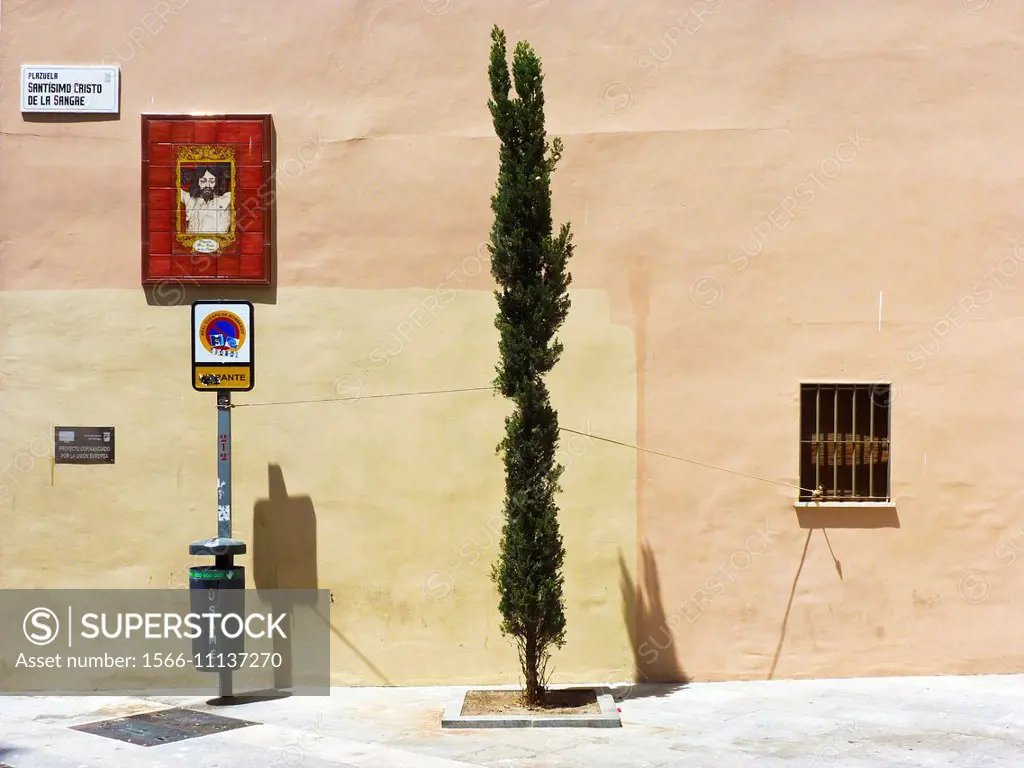 Tree tied in between a street sign and a window next to a mosaic of a crucified Jesus at Santisimo Cristo de la Sangre street, Malaga, Spain, Europe.