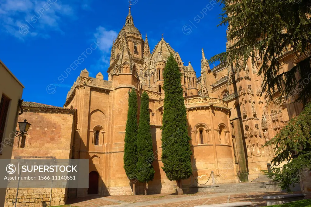 Cathedral, Salamanca, Old Cathedral, Via de la Plata, Silver Route, Castilla-Leon, Spain.