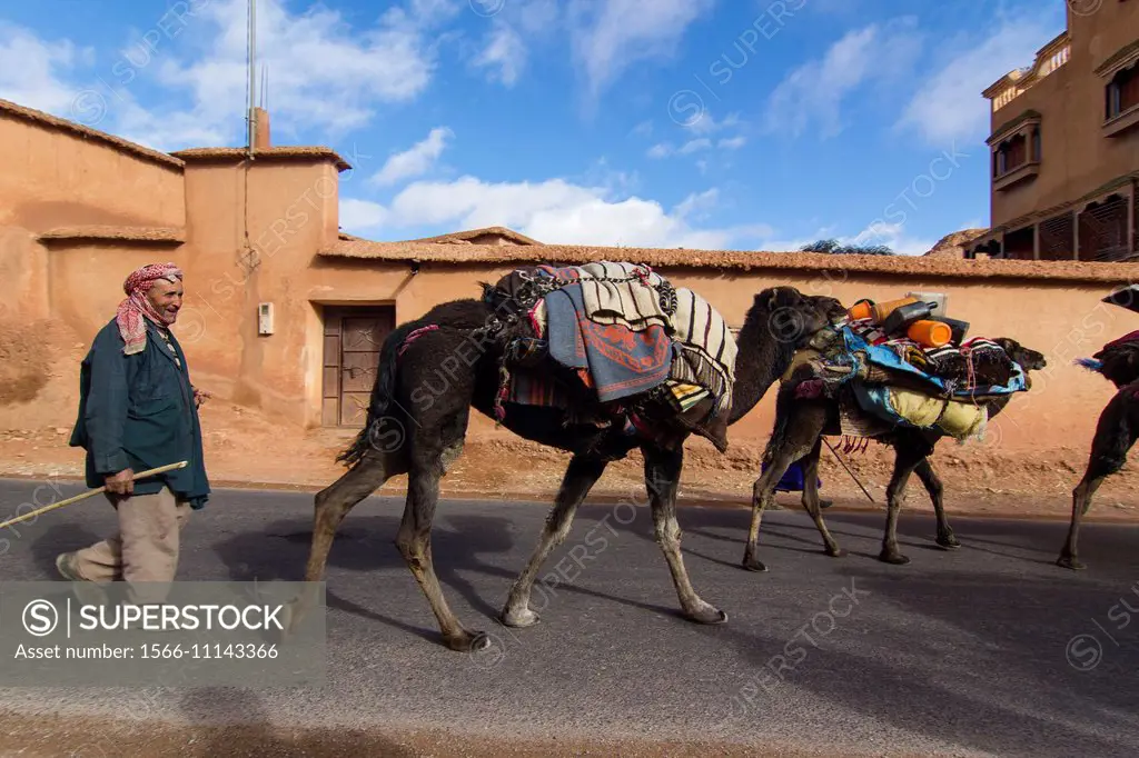 Nomads. Morocco.